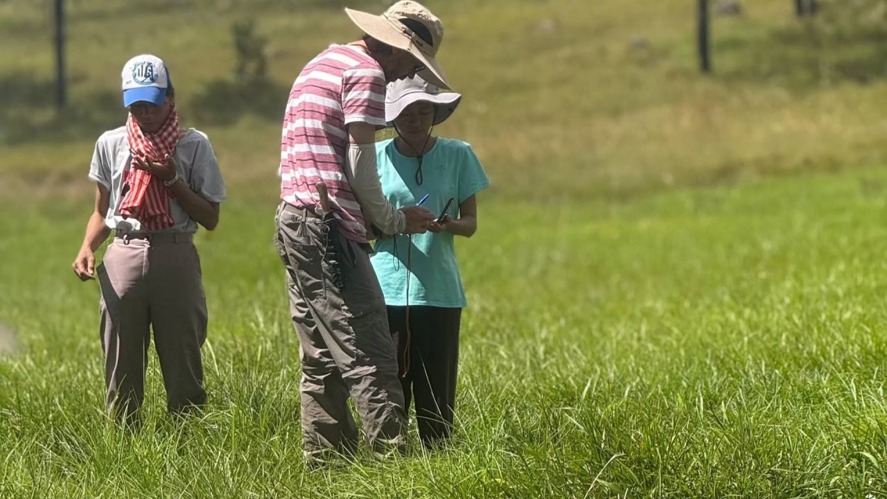 Vorschau Bild des Kurses Outdoor Facilitation: Basic Skills & Foundations