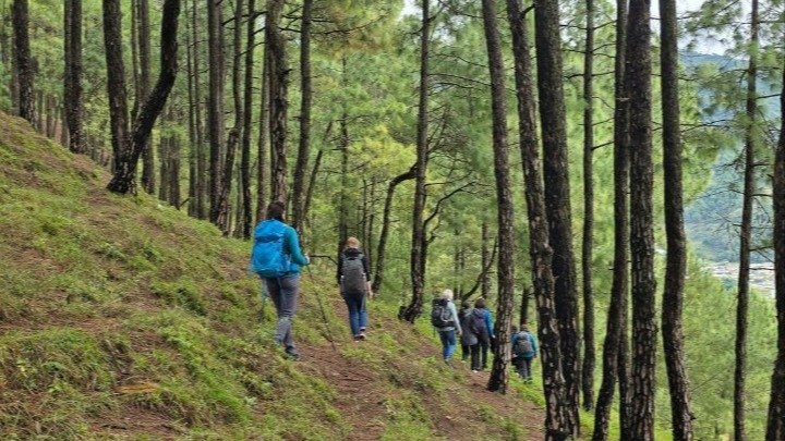 Vorschau Bild des Kurses Outdoor Facilitation: The Art of Facilitation in Nature