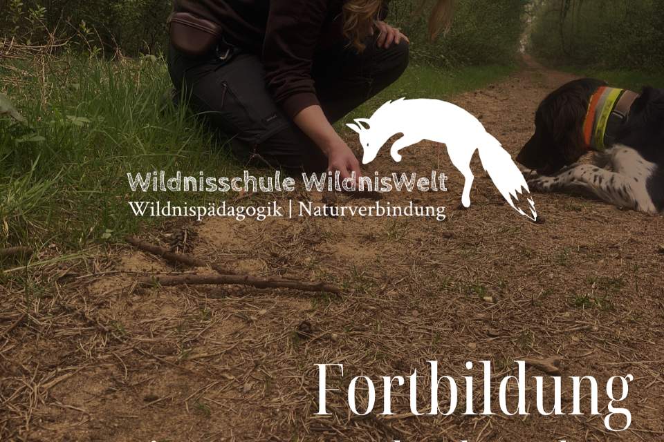Vorschau Bild des Kurses Fortbildung: Tierspuren und Fährtenlesen