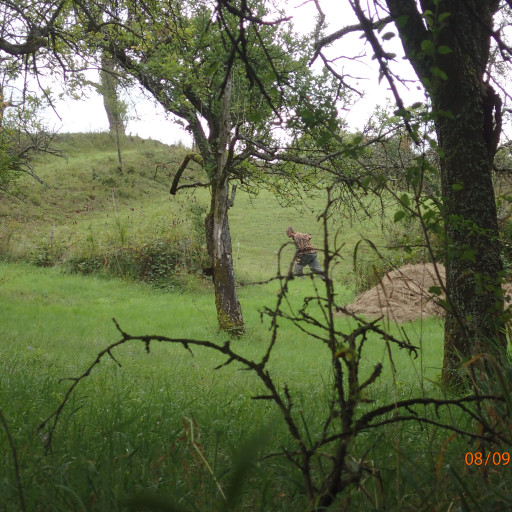 Vorschau Bild des Kurses Schattergänger Scout 1 Basis Kurs