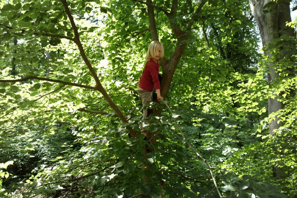 Vorschau Bild des Kurses Osterferien-Camp im Plänterwald
