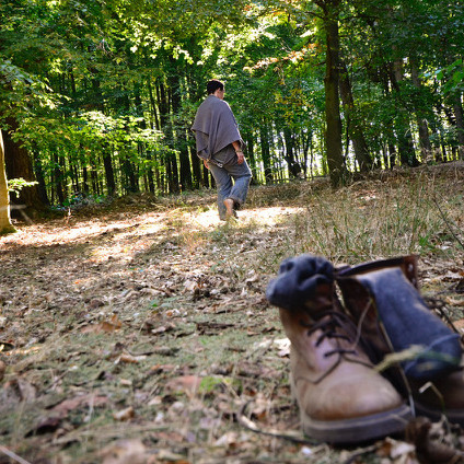 Vorschau Bild des Kurses Einführung in die Naturverbindung