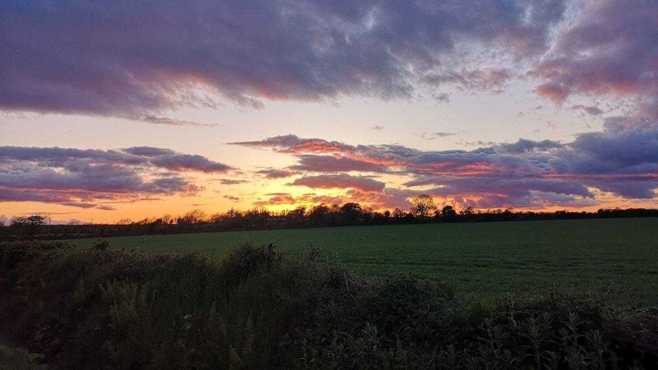 Vorschau Bild des Kurses WILDE SEELEN - Der Mutter-Kind-Clan
