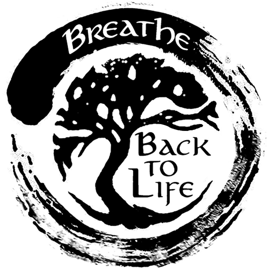 Bild von Herzkraft & BreatheBackToLife Männerseminare