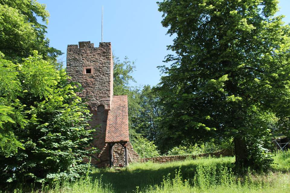 Vorschau Bild des Kurses Eltern-Kind-Wochenende