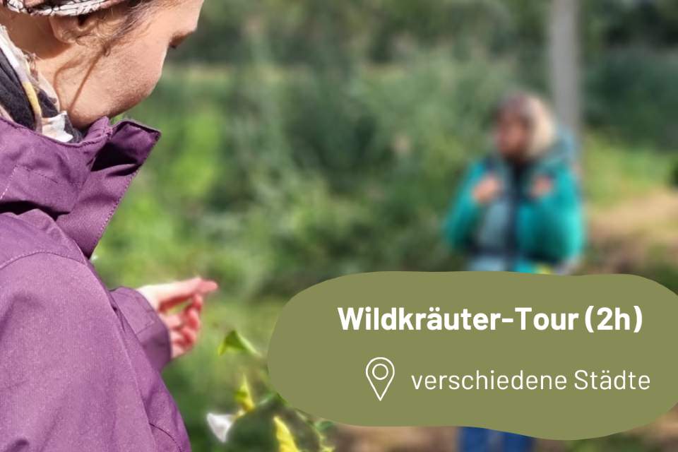 Vorschau Bild des Kurses Wildkräuter-Tour (2h)