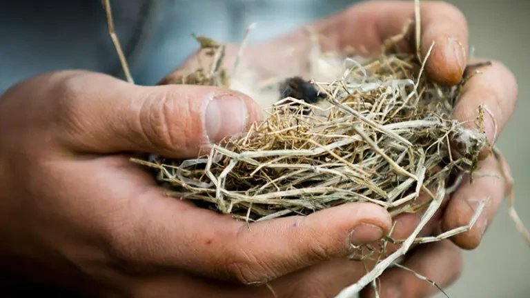 Vorschau Bild des Kurses Großer Wildnisbasis I und II