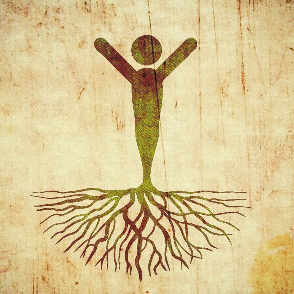 Bild des Team Mitglieds Laura Perfler