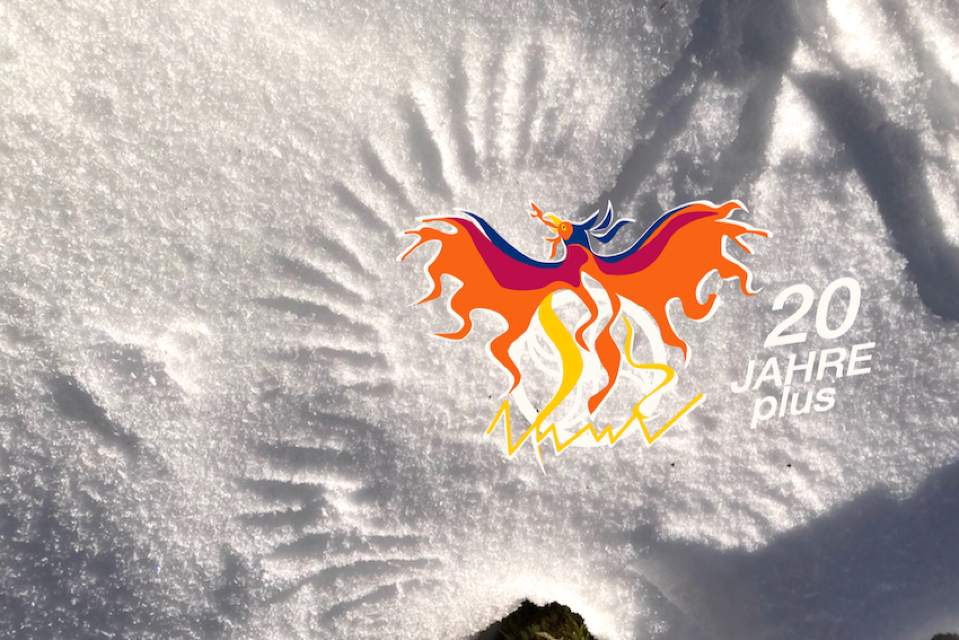 Vorschau Bild des Kurses Coyoteteaching und Spurenkunde