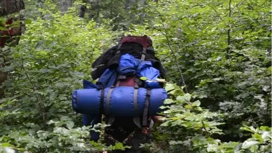 Vorschau Bild des Kurses Wildniswandern in den Karpaten