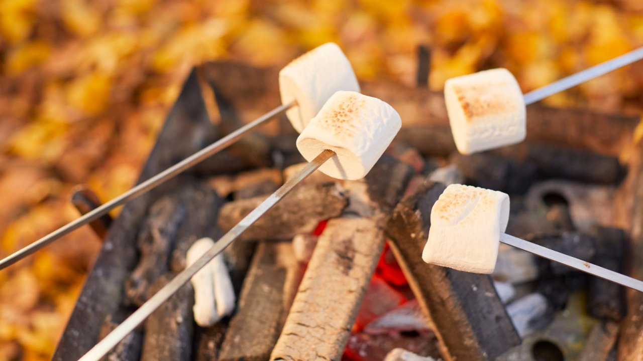 Vorschau Bild des Kurses Der Wilde Weg - Naturabenteuer für Schulklassen