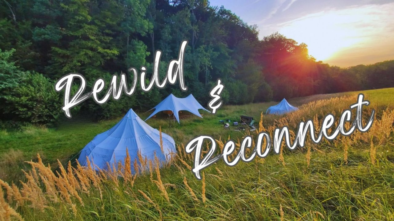 Vorschau Bild des Kurses Rewild & Reconnect