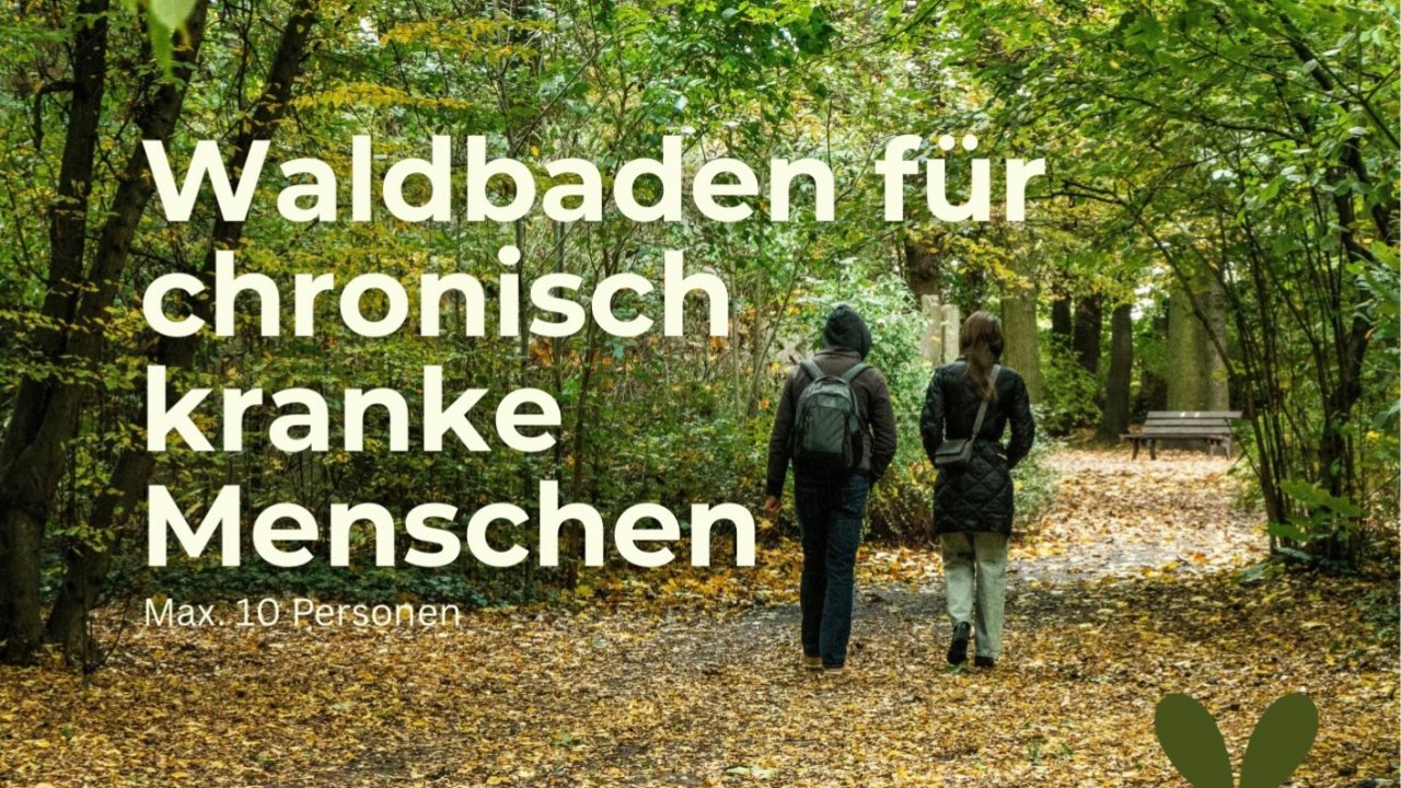 Vorschau Bild des Kurses Waldbaden für chronisch kranke Menschen