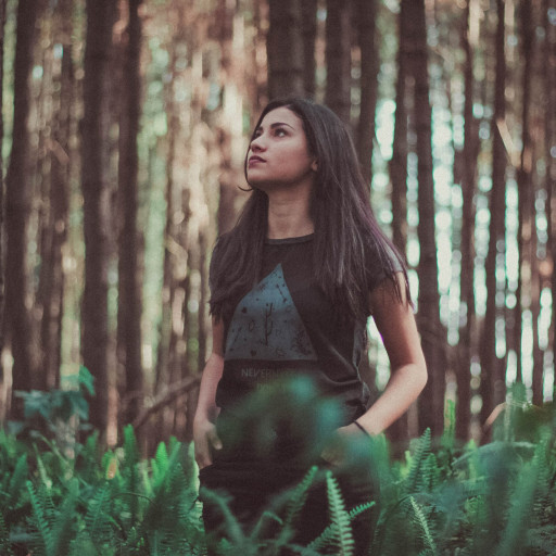 Vorschau Bild des Kurses Medizinwanderung