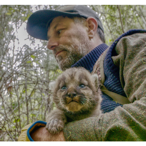 Logo der Wildnisschule Animal Tracking – Mountain Lions – Mark Elbroch