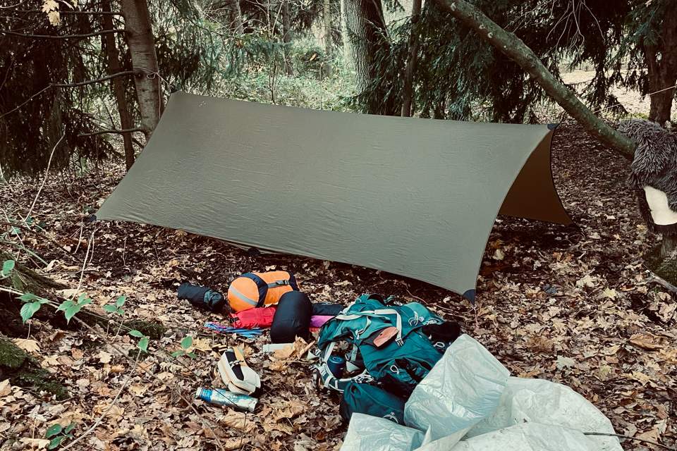 Vorschau Bild des Kurses Wildnis-Basis-Kurs Camp "Natural Living"