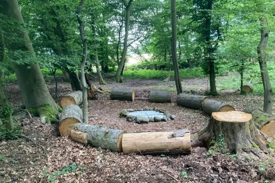 Vorschau Bild des Kurses Ein ganzer Tag im Wald