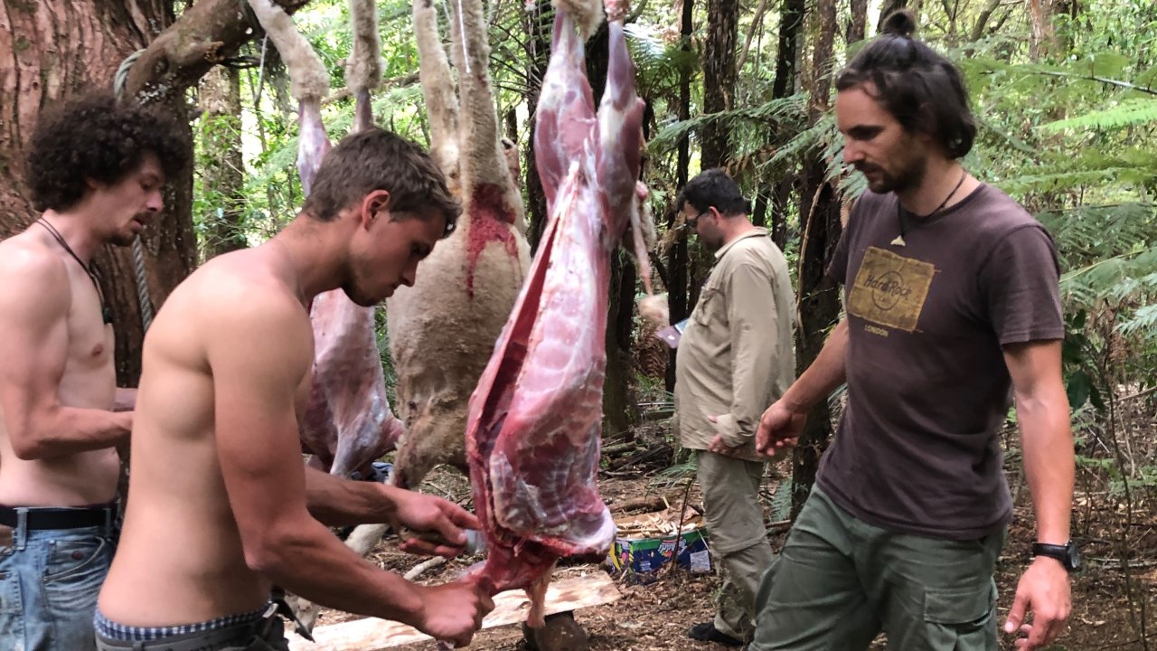 Vorschau Bild des Kurses Jagen und Nahrung aus der Natur