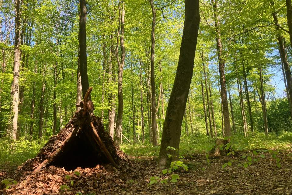 Vorschau Bild des Kurses WildnisWelt Sommerferienfreizeit 2025