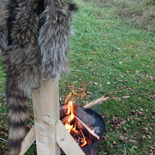 randomly picked image number 2 of outdoor class offering on wildnet