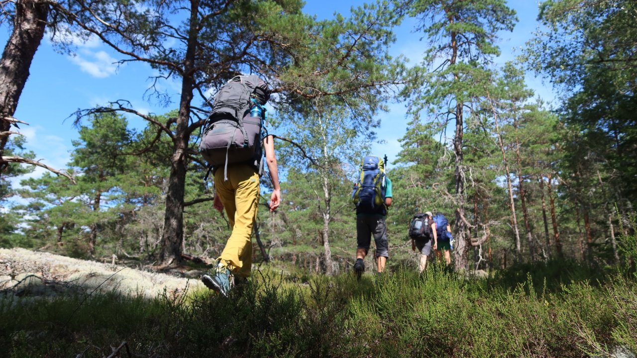 Vorschau Bild des Kurses Outdoor Basics Kurs