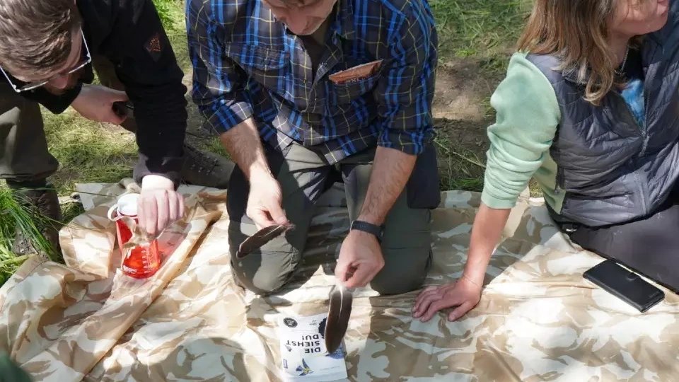 Vorschau Bild des Kurses Wildnispädagogik 1