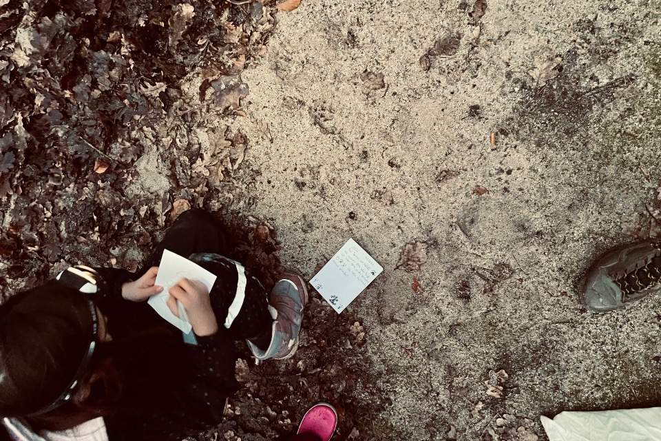 Vorschau Bild des Kurses Wilde Nachbarn - Spurenlesen für Kinder ab 6 Jahren