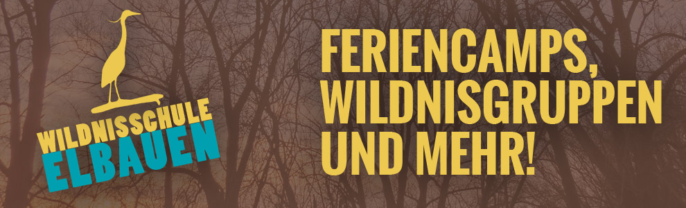 Logo der Wildnisschule Wildnisschule Elbauen