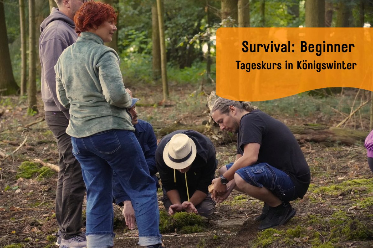Vorschau Bild des Kurses Survival: Beginner