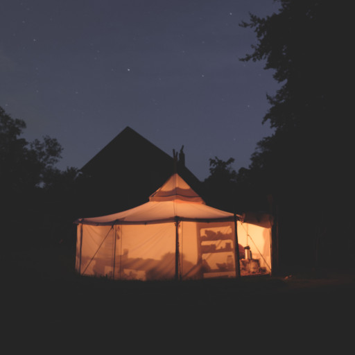 Vorschau Bild des Kurses Grundkurs "Das Wissen der Wildnis"