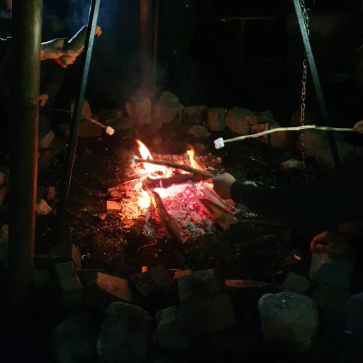 Vorschau Bild des Kurses Wilde Zeit für Erwachsene