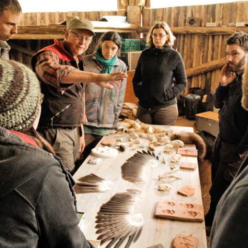 Vorschau Bild des Kurses "Altes Vogelwissen" mit Ralph Müller