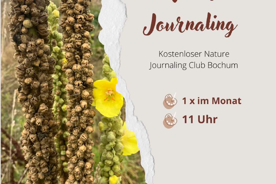 Vorschau Bild des Kurses Nature Journal Club Bochum