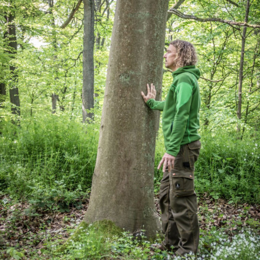 Vorschau Bild des Kurses Alles ist mit allem verbunden - InEssenz Seminar in der Natur
