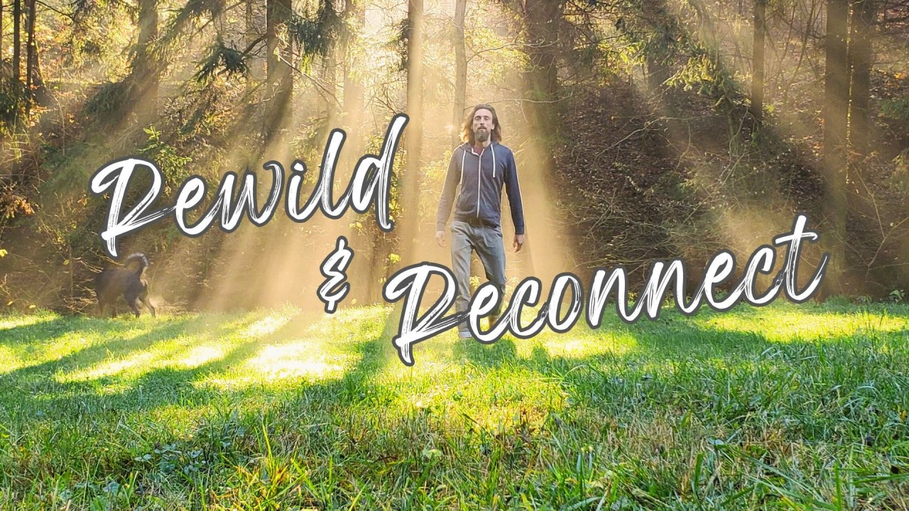 Vorschau Bild des Kurses Rewild & Reconnect