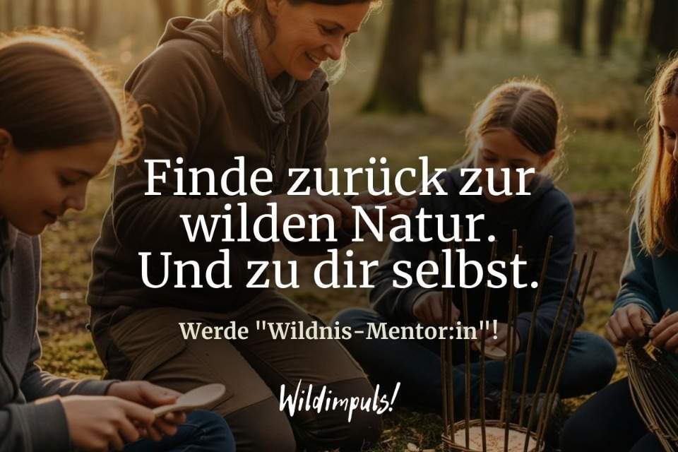 Vorschau Bild des Kurses Wildimpuls | Jahres-Fernkurs für mehr Wildnis im Leben