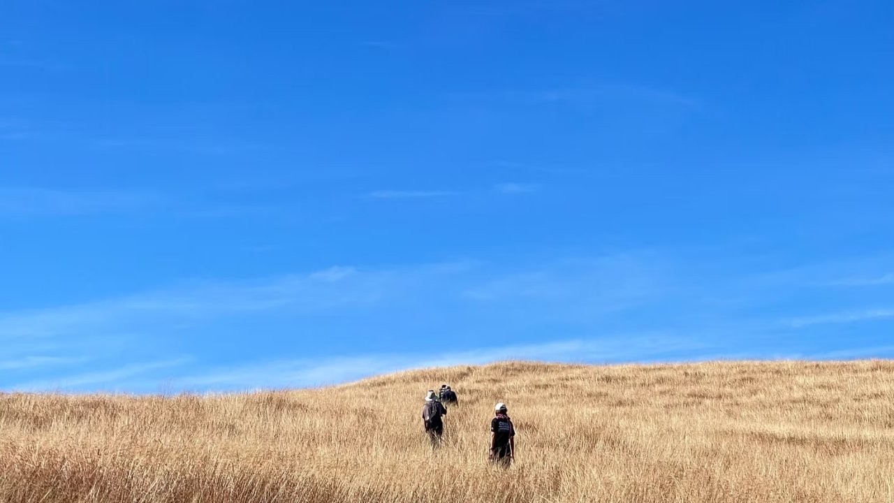 Vorschau Bild des Kurses The Unhurried Trek: A Journey to Clarity in Nature's Gentle Pace