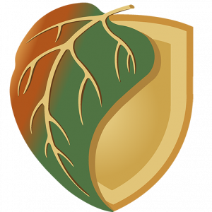 Bild von Friedvolle Krieger