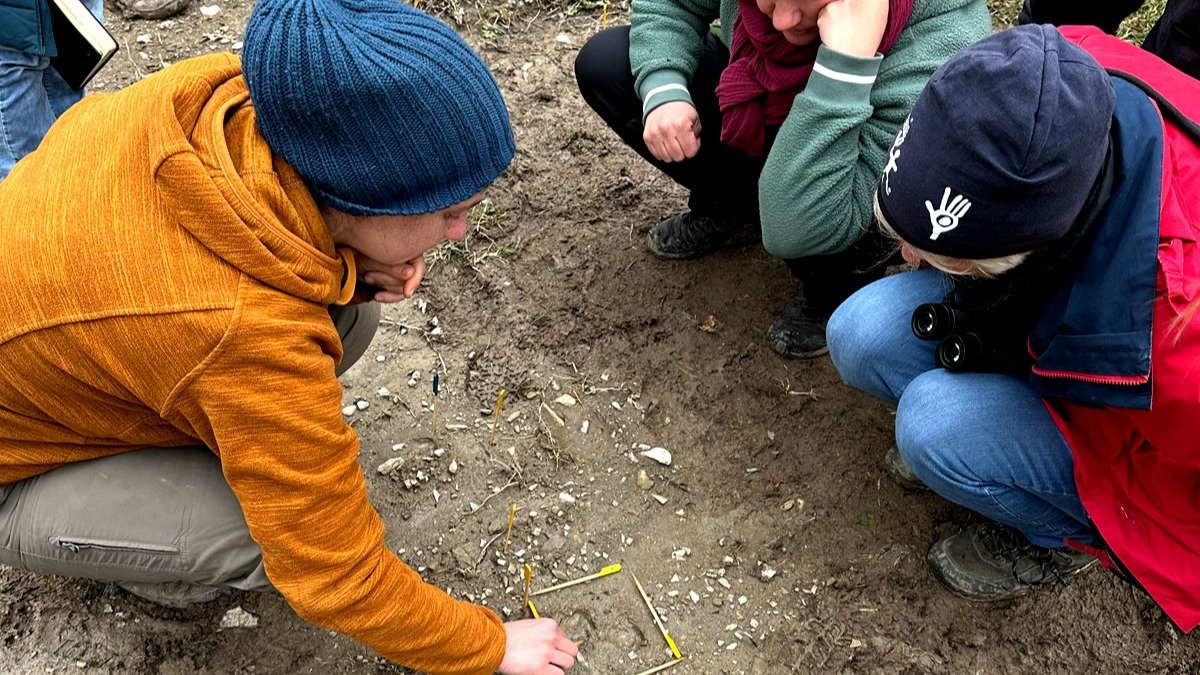 Vorschau Bild des Kurses Seminar Spuren- und Fährtenlesen