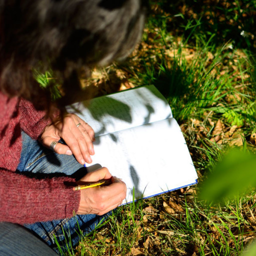 Vorschau Bild des Kurses Heil- und Wildpflanzen Kurs