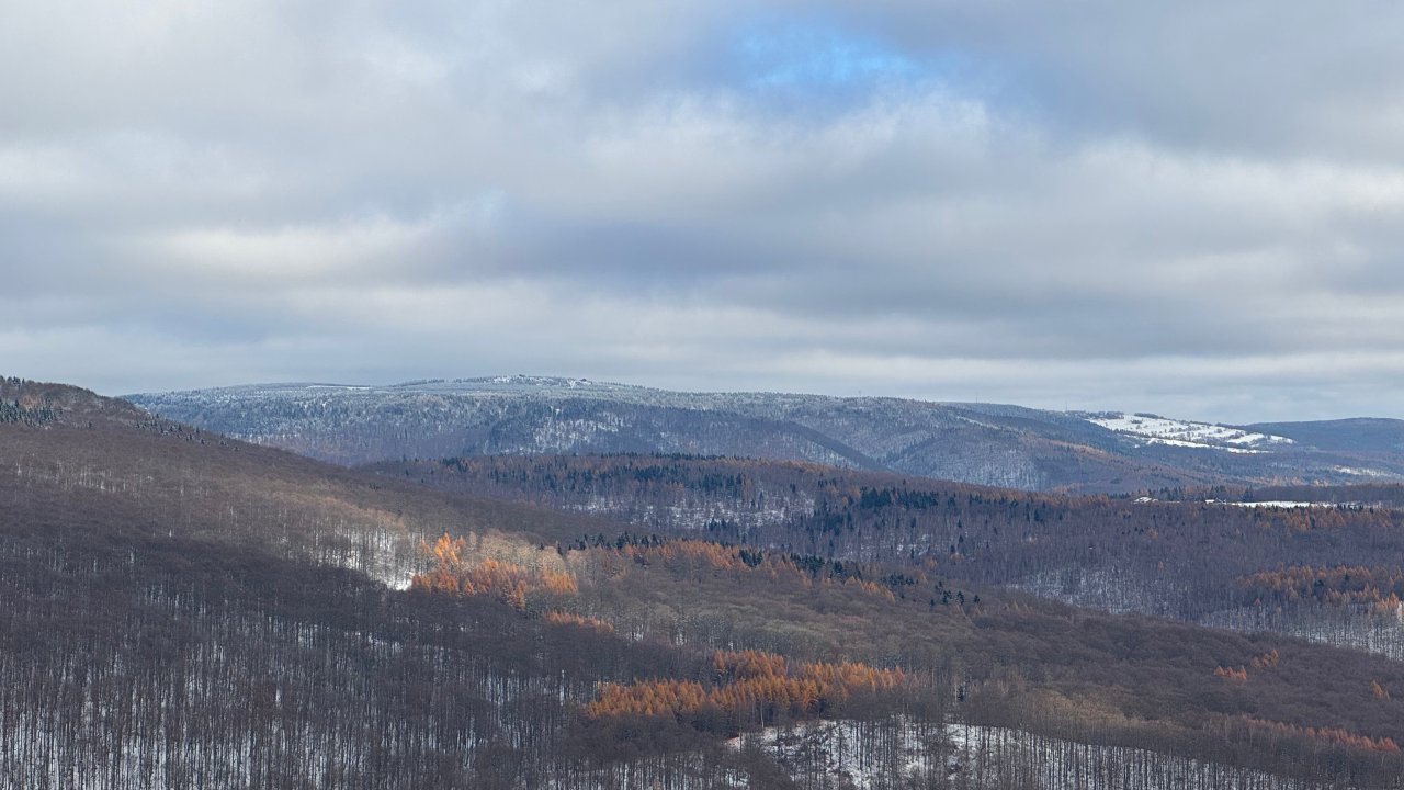 Vorschau Bild des Kurses Wildniswanderung am Erzgebirgskamm