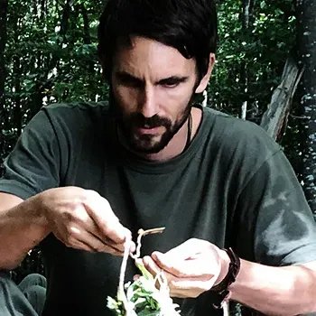 Bild des Team Mitglieds Nikolaus Hippe