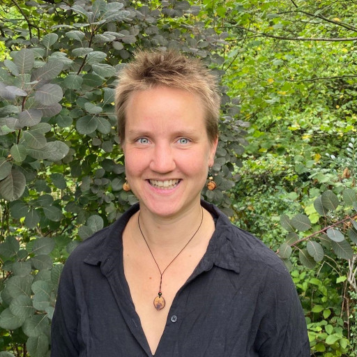 Bild des Team Mitglieds Miro Knauer