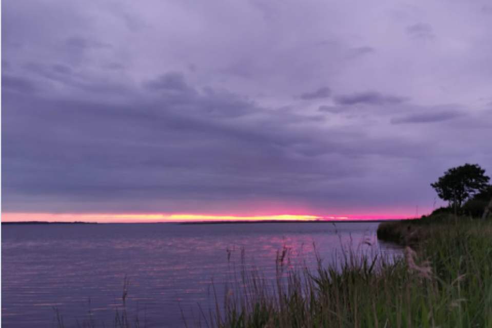 Vorschau Bild des Kurses 'WILDNIS RETREAT' – GANZHEITLICHE NATURERFAHRUNG & GENIESSEN - 2026