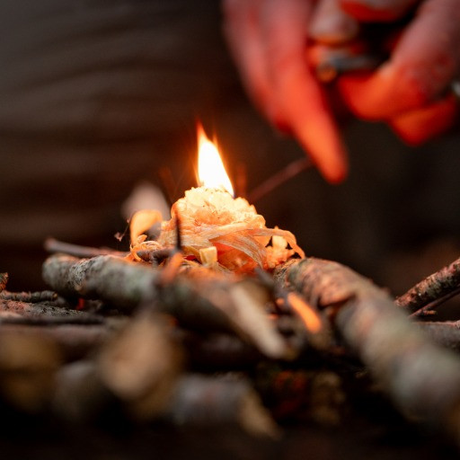 Vorschau Bild des Kurses Waldläuferkurs für Kids und Teens