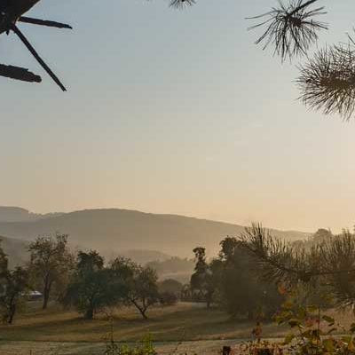 Preview image of class Wildnispädagogik & Lebenspädagogik Teil I