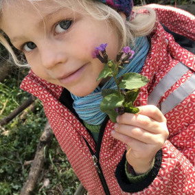 Vorschau Bild des Kurses Kräuterwanderung für Kinder