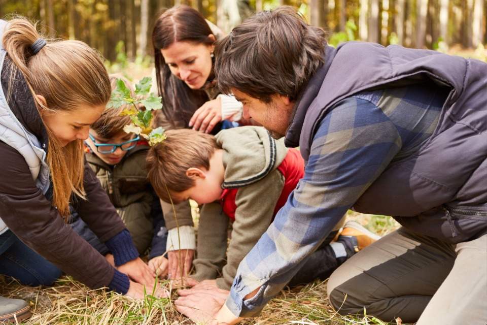 Vorschau Bild des Kurses Baumpflanzaktion