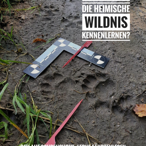 Vorschau Bild des Kurses Wildes Gilching - Fuchs, Reh & Co auf der Spur