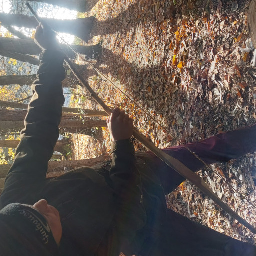 Vorschau Bild des Kurses Bogenbau in der Wildnis